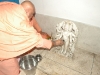 dattatreyajayanti-2012-2