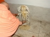 dattatreyajayanti-2012-5