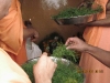 sri-ganesh-chaturthi-14